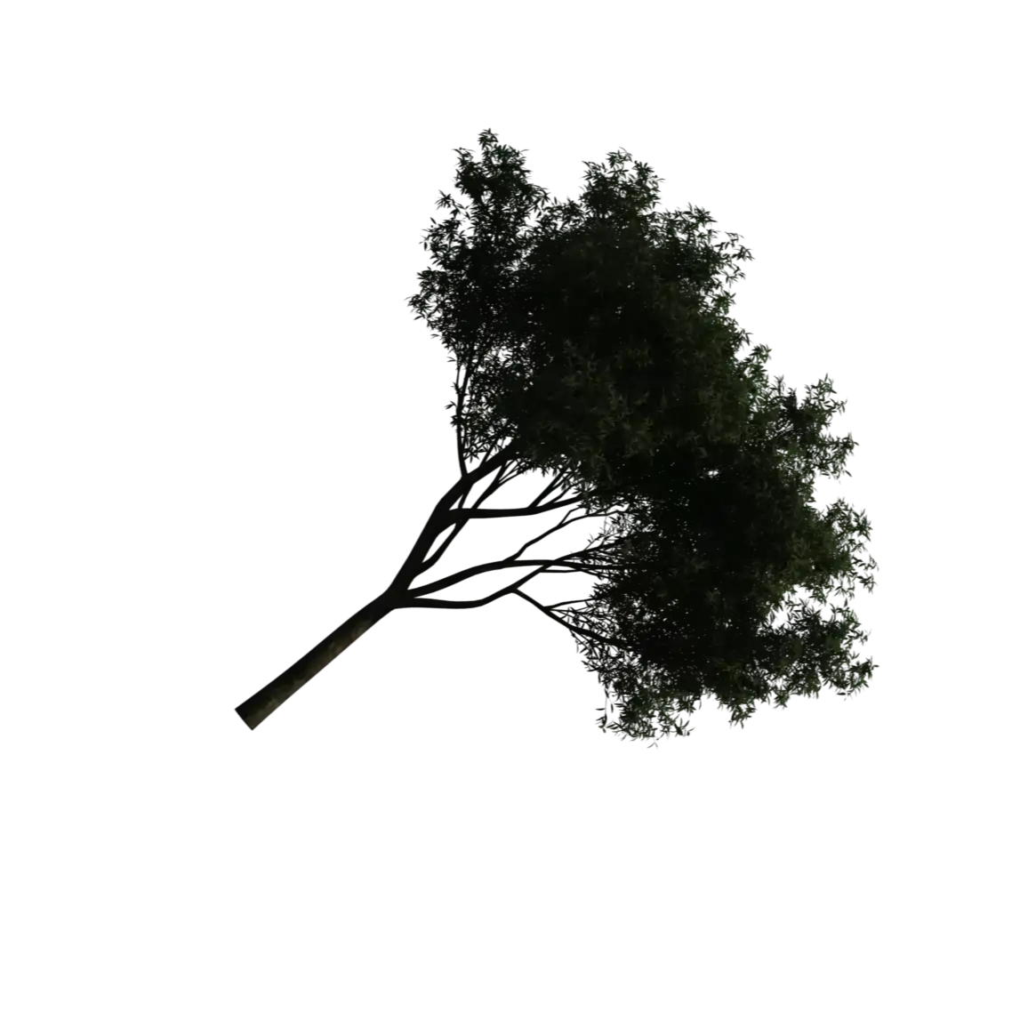 tree